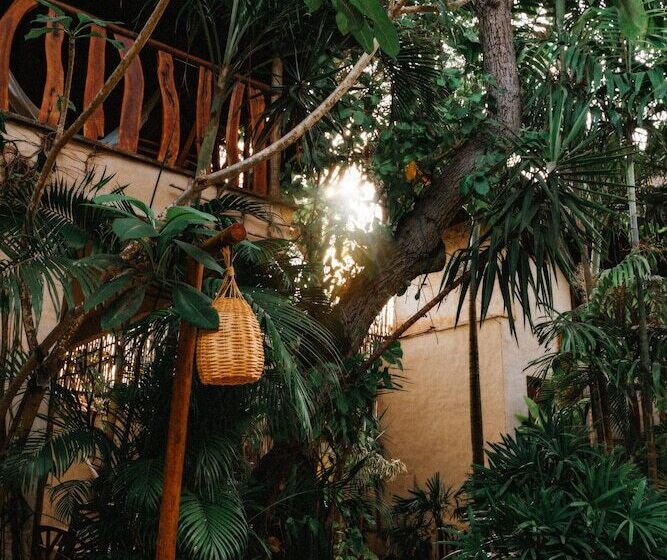 جناح مطلّ علي الحديقة, Hurricane Jeri