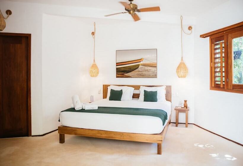 جناح مطلّ علي الحديقة, Hurricane Jeri