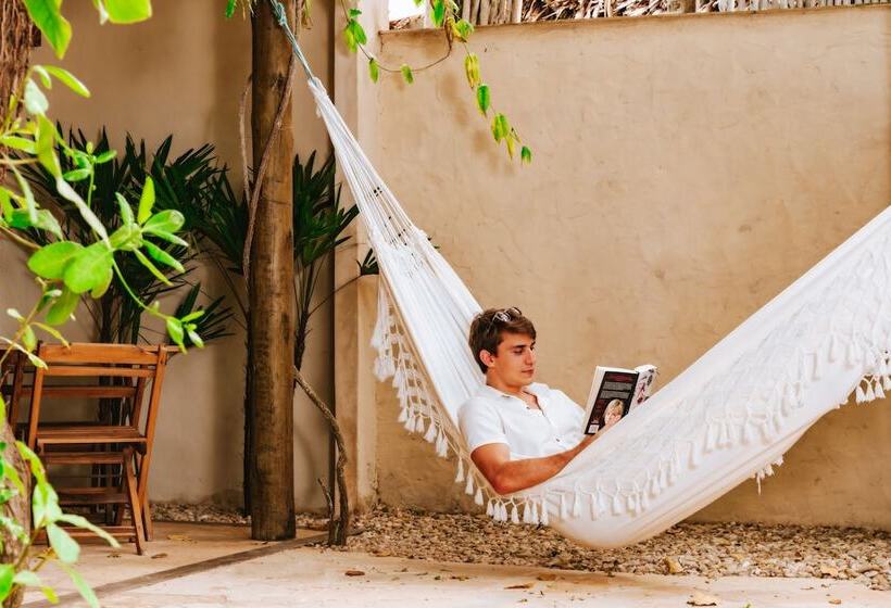 جناح مطلّ علي الحديقة, Hurricane Jeri