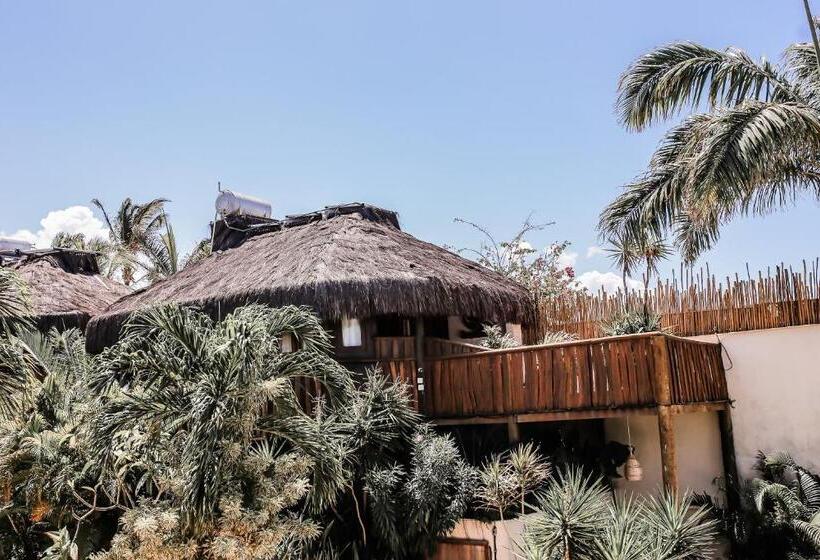 بنجلو ديلوكس, Hurricane Jeri