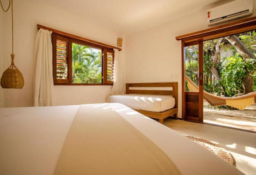 جناح مطلّ علي الحديقة, Hurricane Jeri