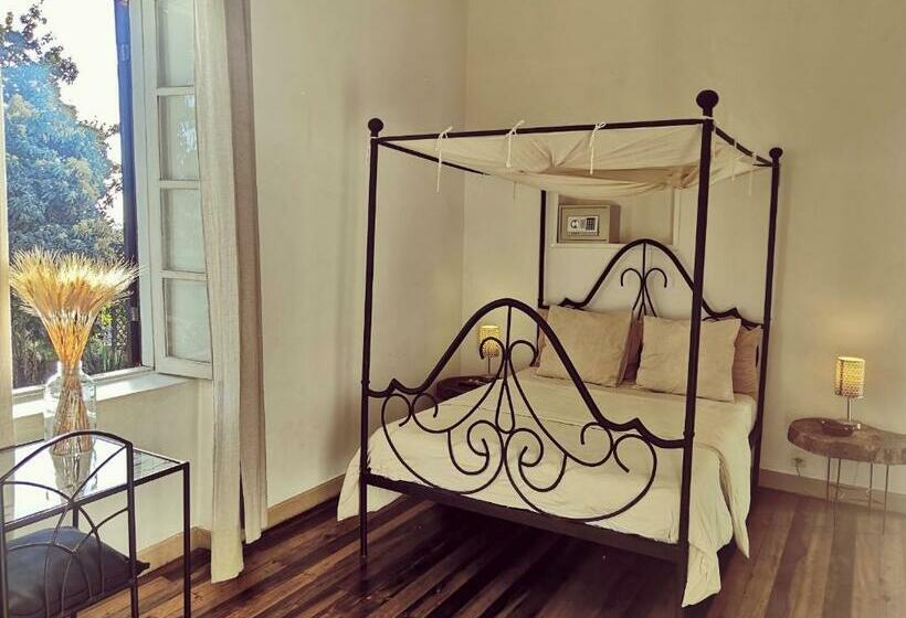 اتاق سوپریور, Maison D'hôtes Mandrosoa