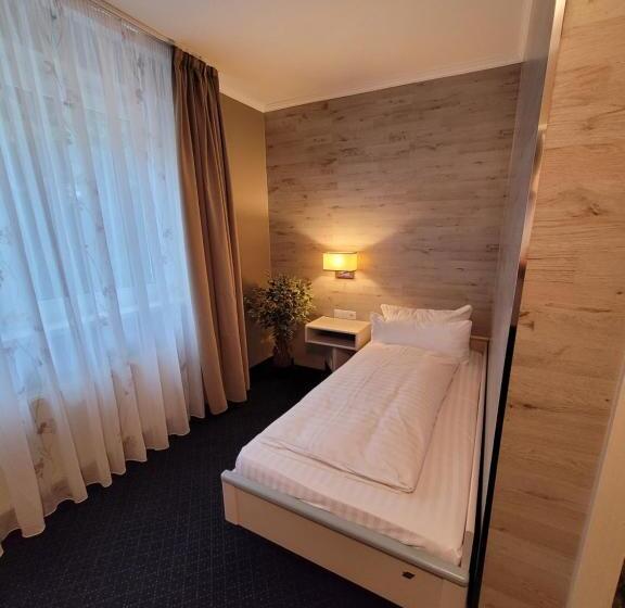 Номер Стандарт Индивидуальный, Ambiente Hotel Garni