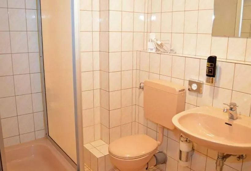 エコノミーシングルルーム, G&h Hotel Rosengarten
