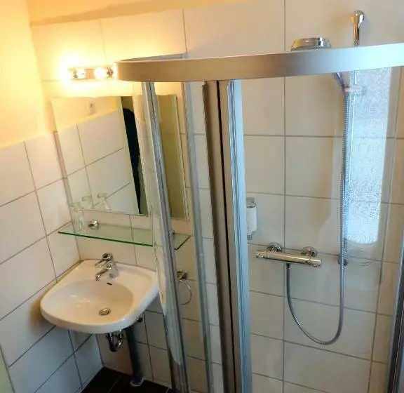 シングルベーシックルーム, Ferienhotel Augustusburg