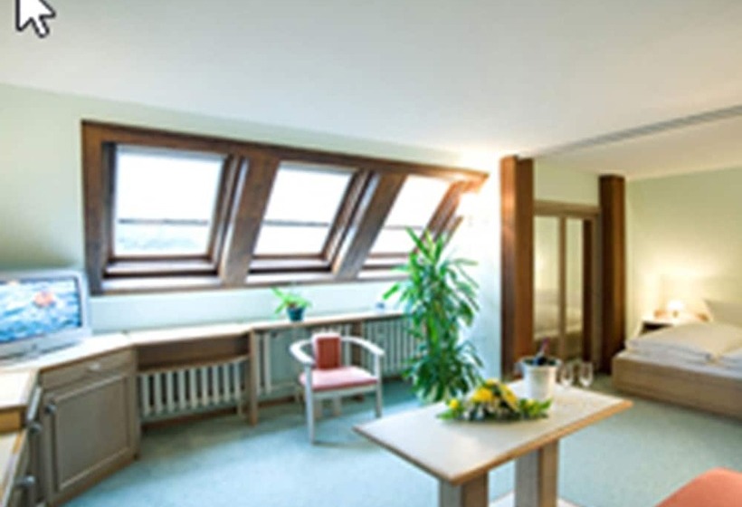 스탠다드 룸, Ferienhotel Augustusburg