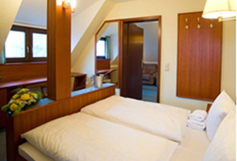스탠다드 룸, Ferienhotel Augustusburg