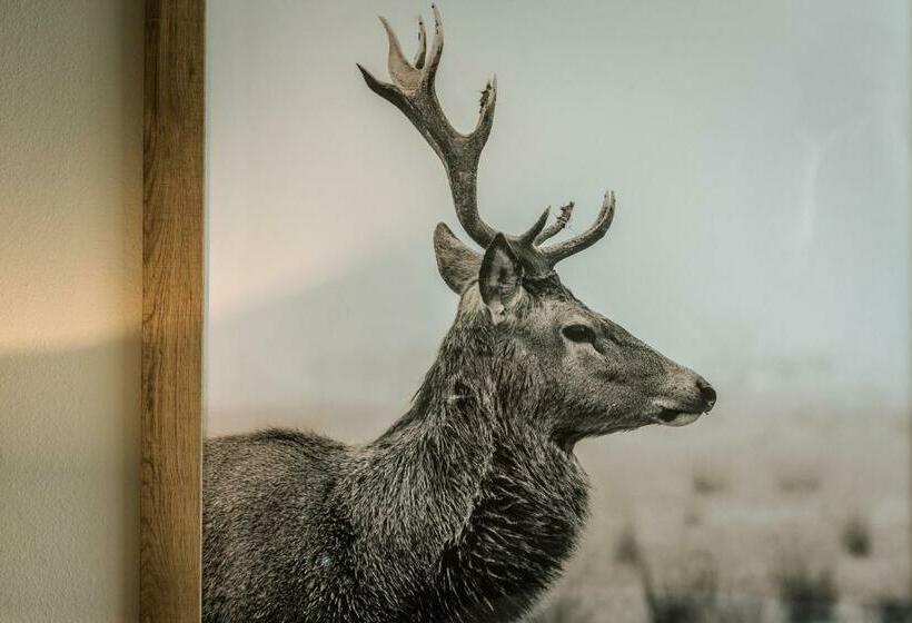 Номер Стандарт, Gasthaus Spieker