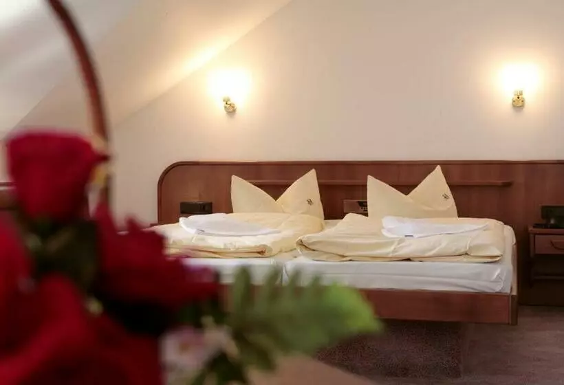 スタンダードルーム, Rennsteighotel Herrnberger Hof