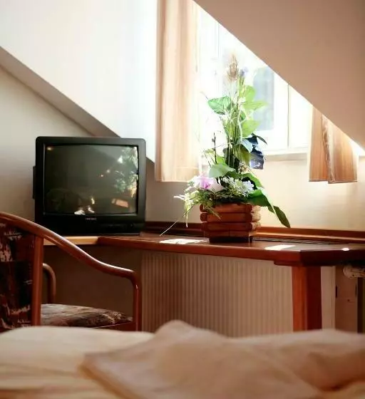 スタンダードシングルルーム, Rennsteighotel Herrnberger Hof