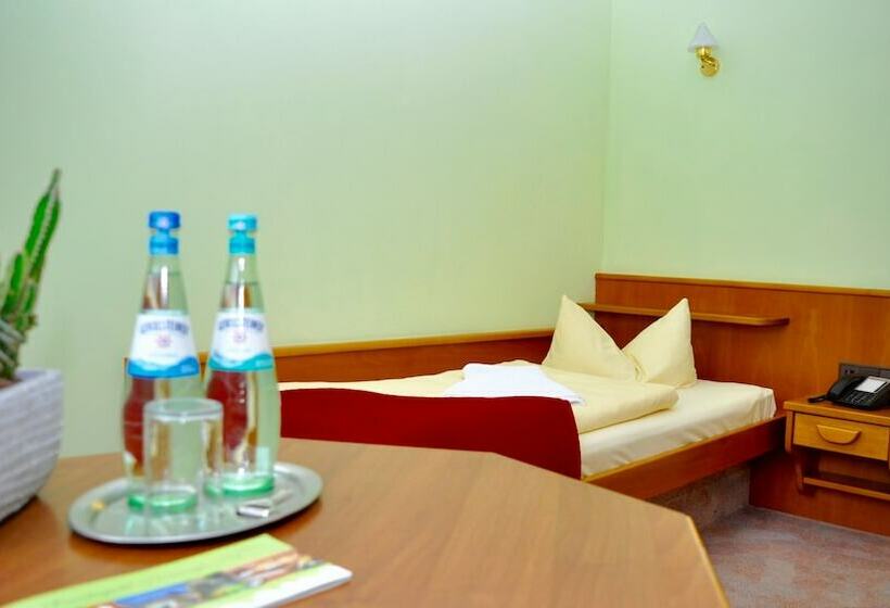 غرفة قياسية فردية, Rennsteighotel Herrnberger Hof