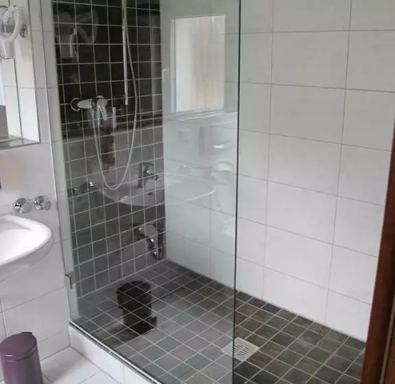 Standard Yhden Hengen Huone, Rothkamp