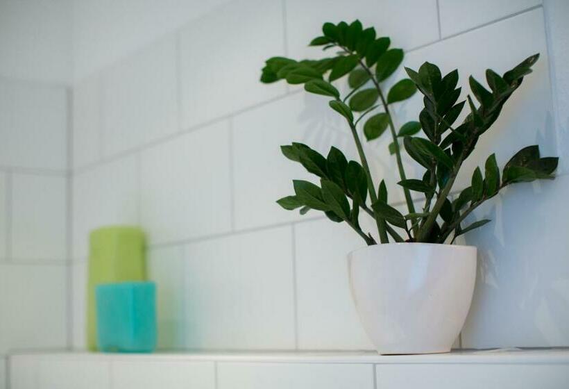 이코노미 룸, Schewe