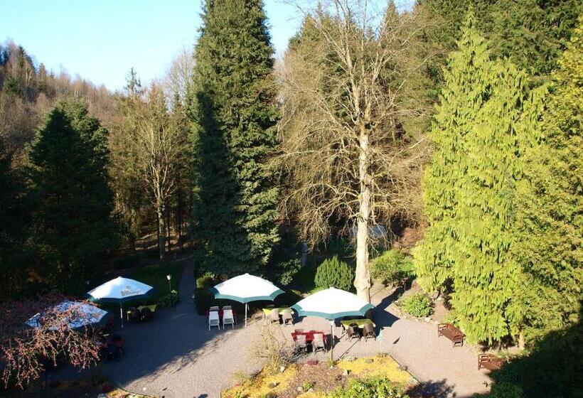 1침실 펜트하우스 아파트, Waldhotel Lemberg