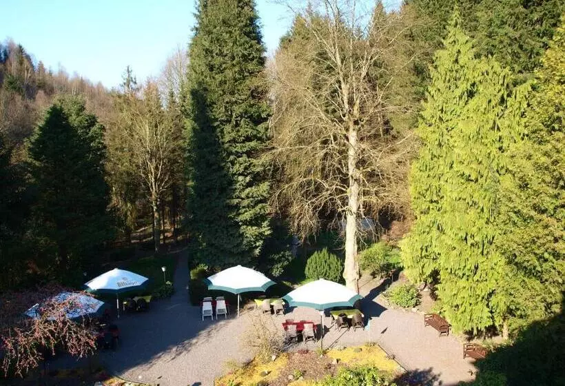 １ベッドルームペントハウスアパート, Waldhotel Lemberg