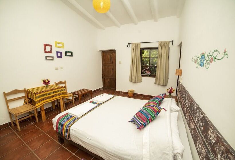 اتاق سوپریور, Andean Wings Valley