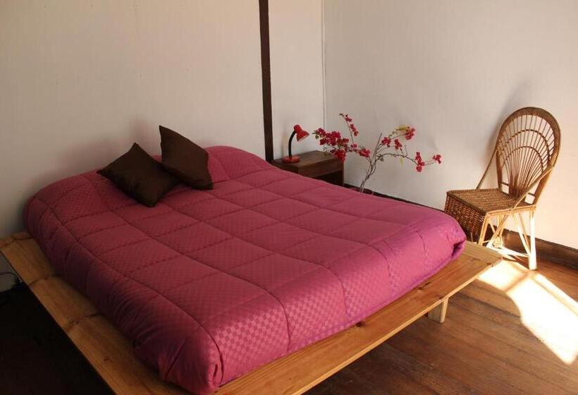 اتاق استاندارد یک نفره, Casa Volante Hostal