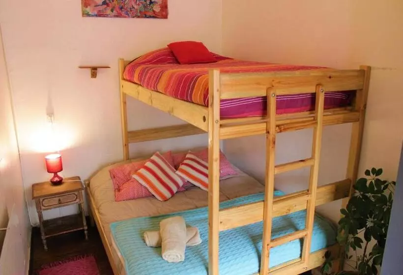 اتاق اکونومی یک تخته, Casa Volante Hostal