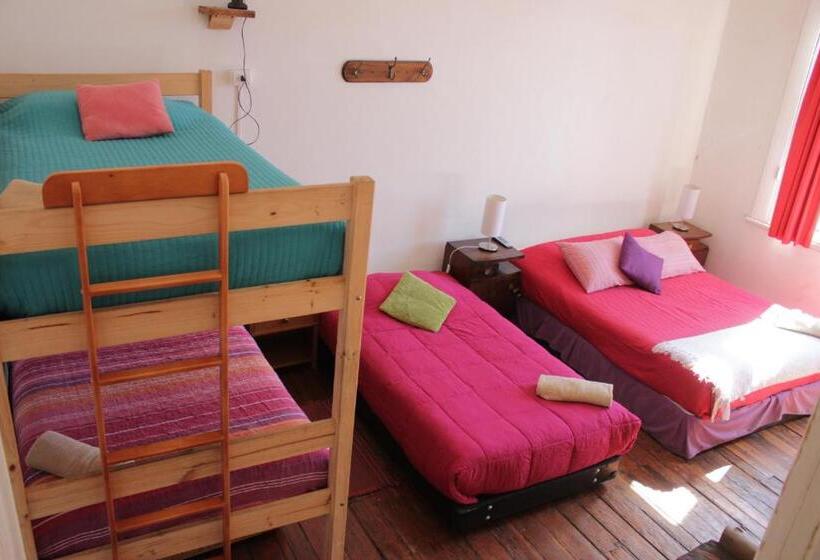 اتاق خانوادگی, Casa Volante Hostal