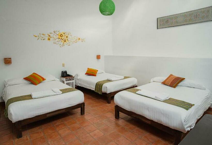 اتاق استاندارد سه نفره, Andean Wings Valley