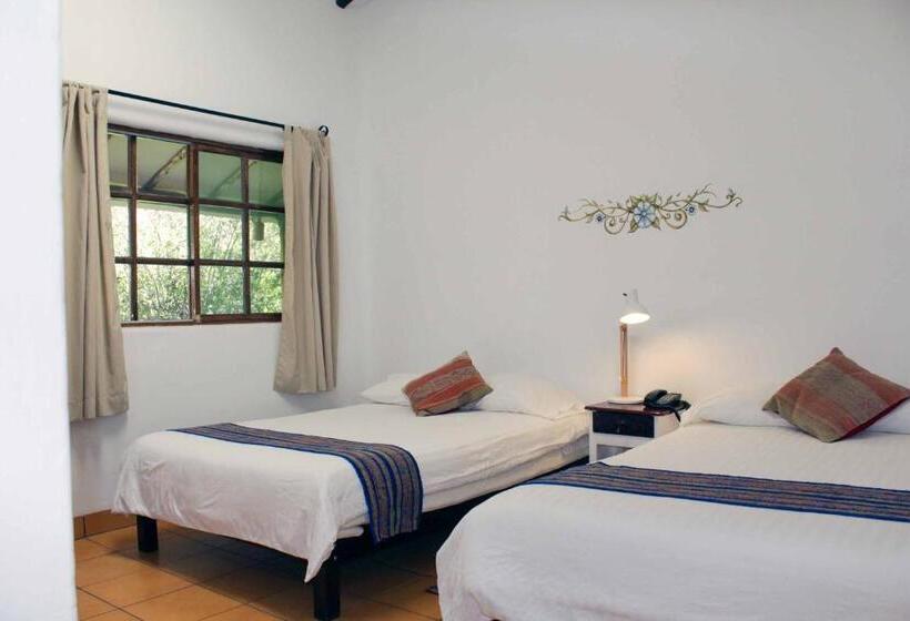 اتاق استاندارد, Andean Wings Valley