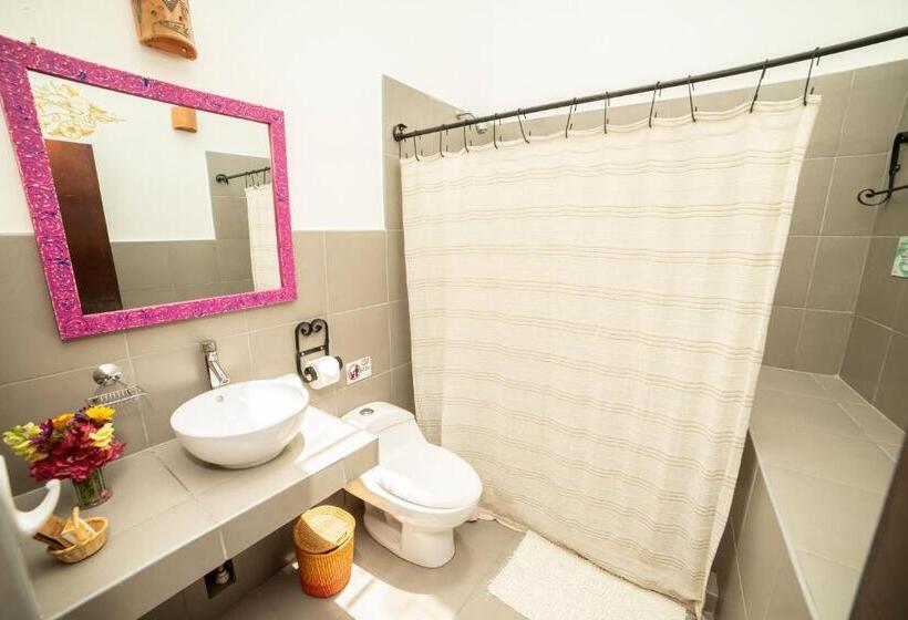 اتاق سوپریور, Andean Wings Valley