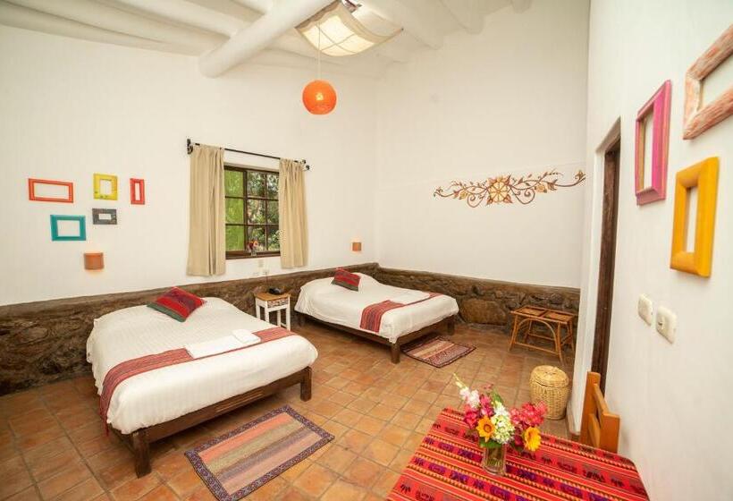 اتاق سوپریور, Andean Wings Valley