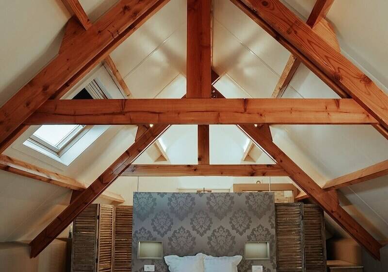 주니어 스위트, Ter Zuidhoek