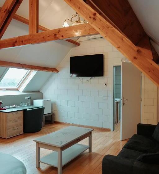 주니어 스위트, Ter Zuidhoek