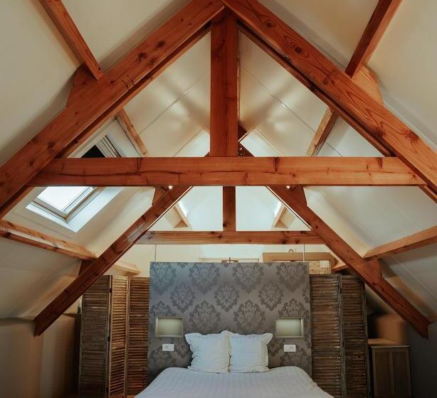 주니어 스위트, Ter Zuidhoek