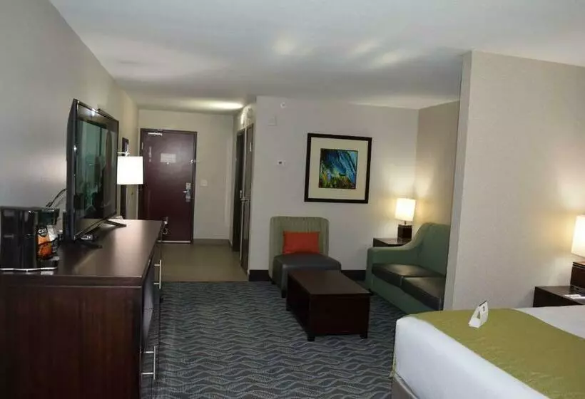キングサイズベッドのスイートルーム, Best Western Plus Hardeeville Inn & Suites