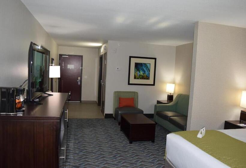 جناح سرير كينج, Best Western Plus Hardeeville Inn & Suites