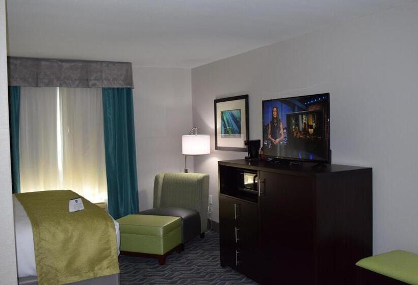 带大床的套房, Best Western Plus Hardeeville Inn & Suites