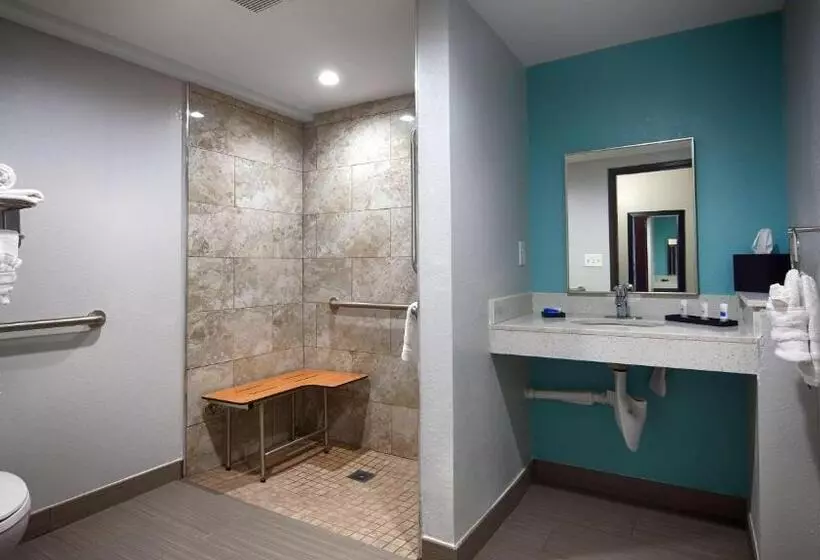 身障者適用キングサイズベッドルーム, Best Western Plus Hardeeville Inn & Suites