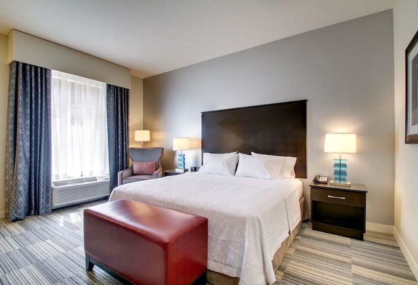 Номер Стандарт Кровать Кинг Адаптированный для Инвалидов, Hampton Inn & Suites Greenville Airport, Sc