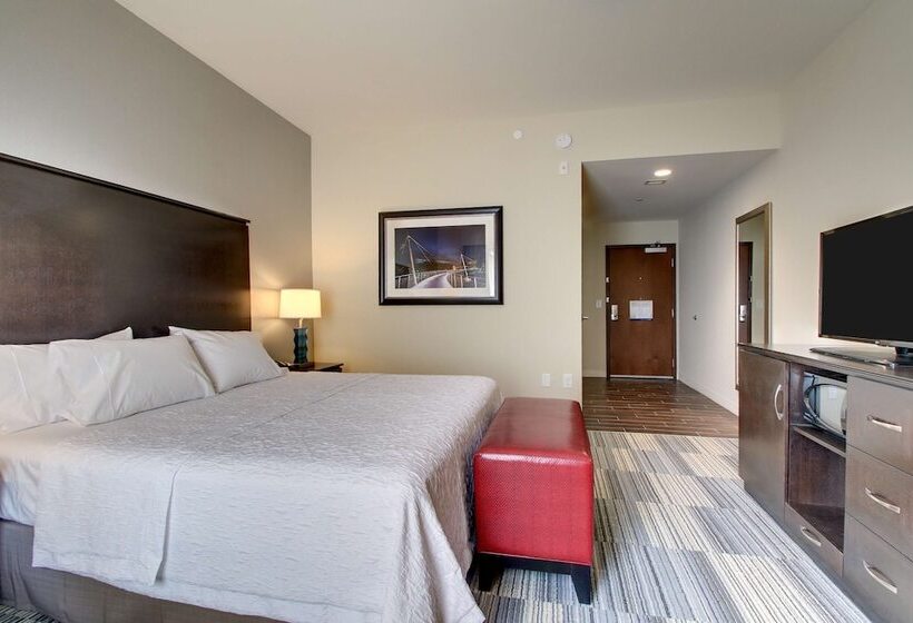 غرفة قياسية سرير كينج لذوى الإحتياجات الخاصة, Hampton Inn & Suites Greenville Airport, Sc