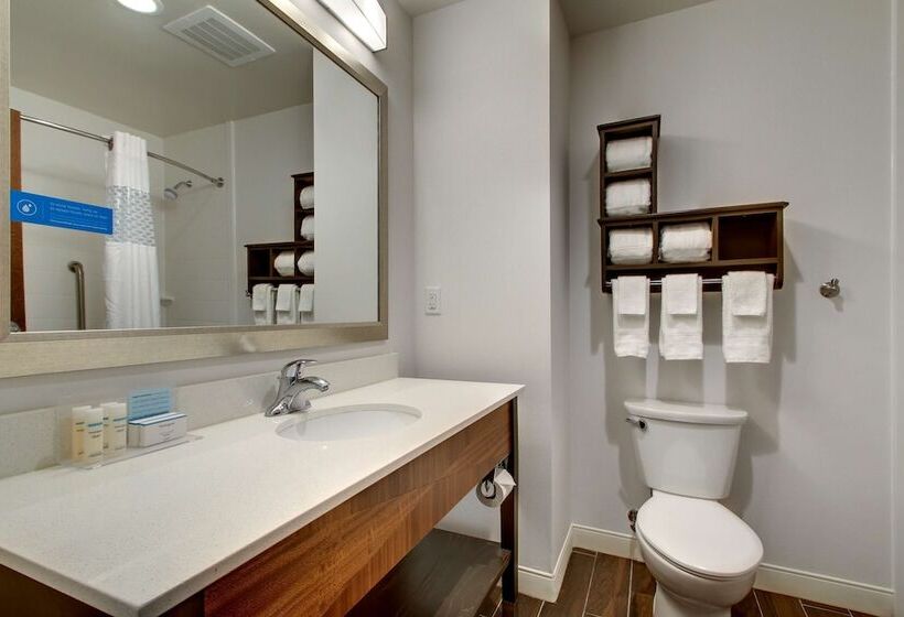 غرفة قياسية سرير كينج لذوى الإحتياجات الخاصة, Hampton Inn & Suites Greenville Airport, Sc