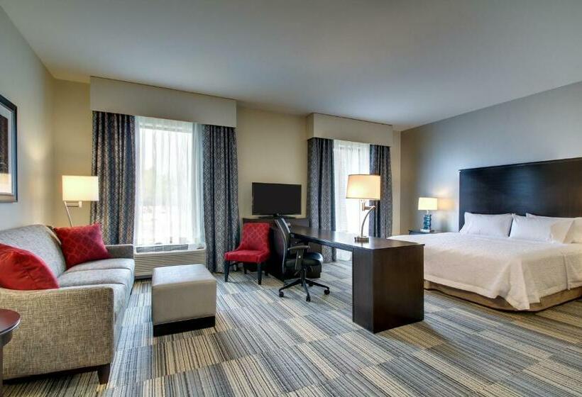 جناح ديلوكس سرير كينج, Hampton Inn & Suites Greenville Airport, Sc