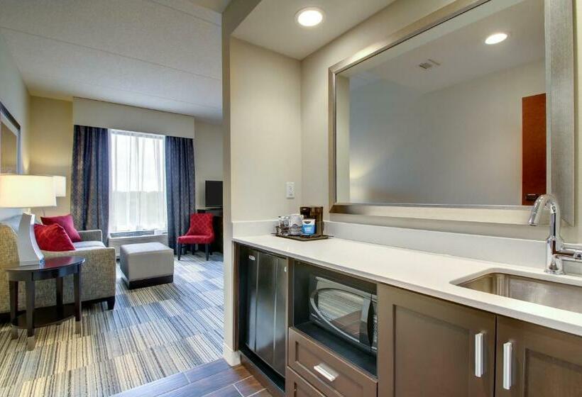 جناح ديلوكس سرير كينج, Hampton Inn & Suites Greenville Airport, Sc