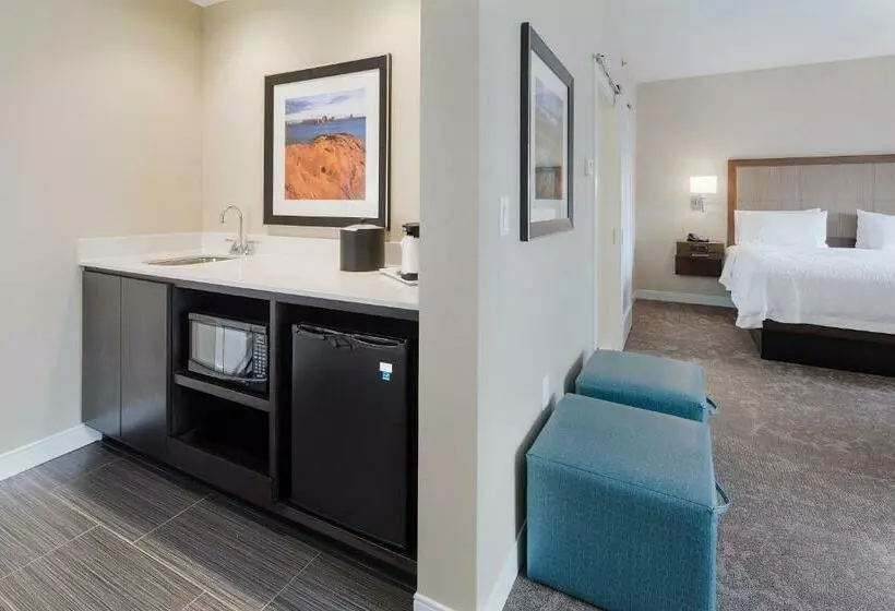 バルコニー付スイート, Hampton Inn & Suites Page  Lake Powell