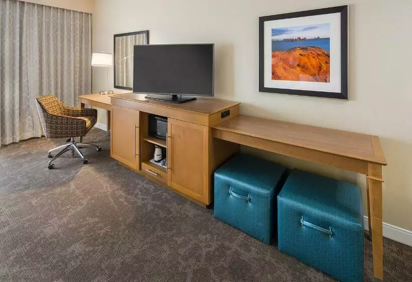 キングサイズベッドのスタンダードルーム, Hampton Inn & Suites Page  Lake Powell
