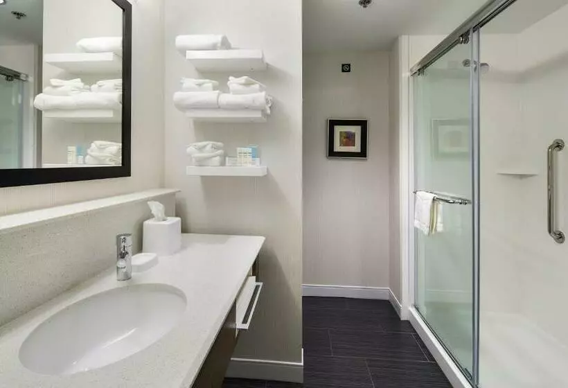 身障者適用キングサイズベッドルーム, Hampton Inn & Suites Page  Lake Powell