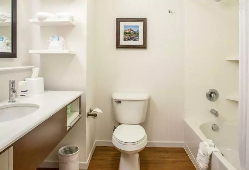 キングサイズベッドのデラックススイート, Hampton Inn & Suites Whitefish