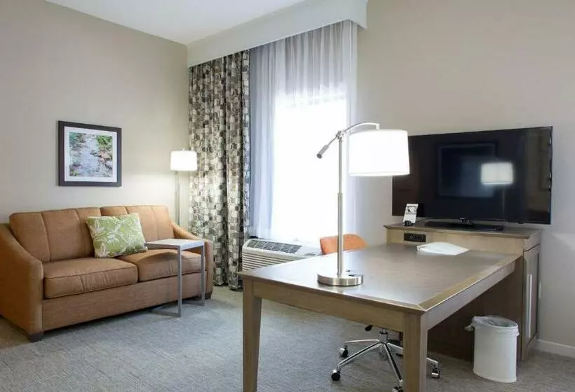 キングサイズベッドのデラックススイート, Hampton Inn & Suites Whitefish