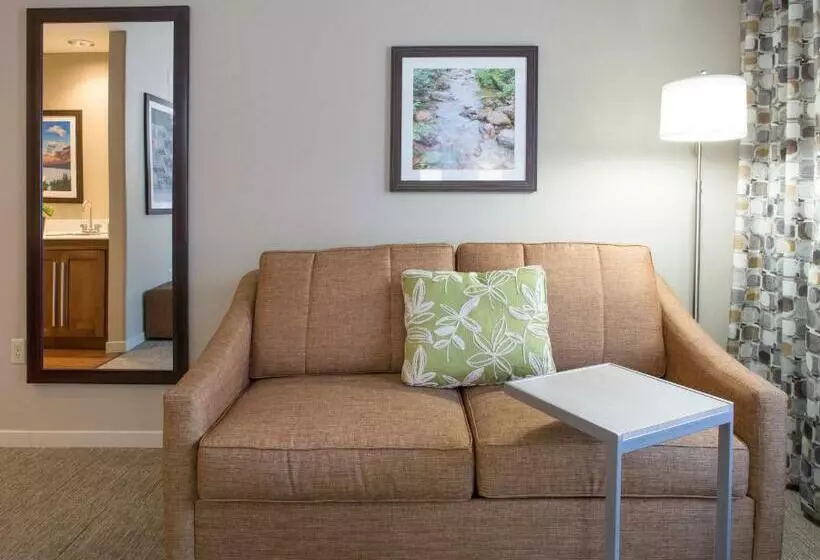 キングサイズベッドのデラックススイート, Hampton Inn & Suites Whitefish