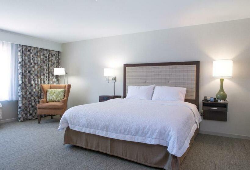 جناح ديلوكس سرير كينج, Hampton Inn & Suites Whitefish