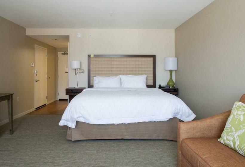 جناح ديلوكس سرير كينج, Hampton Inn & Suites Whitefish