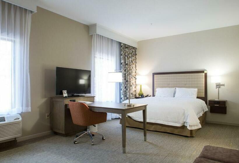 جناح ديلوكس سرير كينج, Hampton Inn & Suites Whitefish