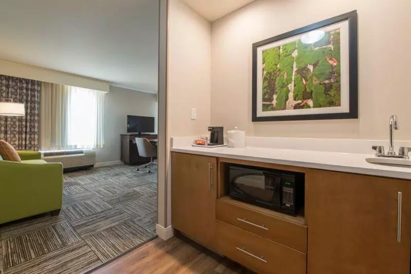 Deluxe Suite King Bed, Hampton Inn Waynesboro