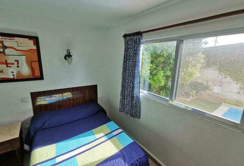 Standardeinzelzimmer, Las Dalias Inn